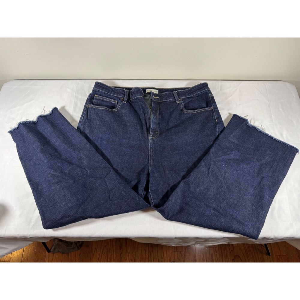 Silver Logan Isbister High Rise Wide Leg Jeans Raw Hem Indigo Jeans Size 34